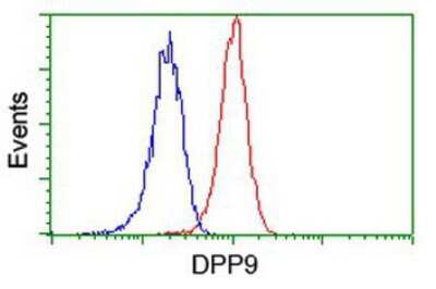 Flow Cytometry: DPP9 Antibody (OTI2E3) [NBP2-01521]