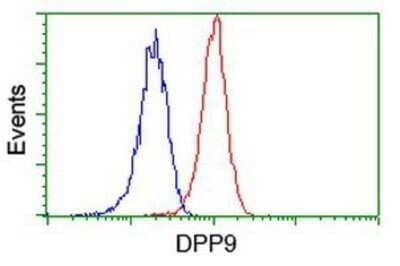 Flow Cytometry: DPP9 Antibody (OTI2E3) - Azide and BSA Free [NBP2-72318]