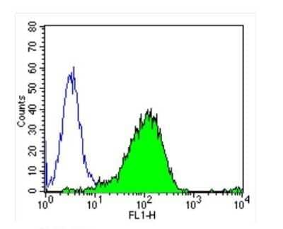 Flow Cytometry: DPPIV/CD26 Antibody (236.3) - Azide and BSA Free [NBP2-22434]