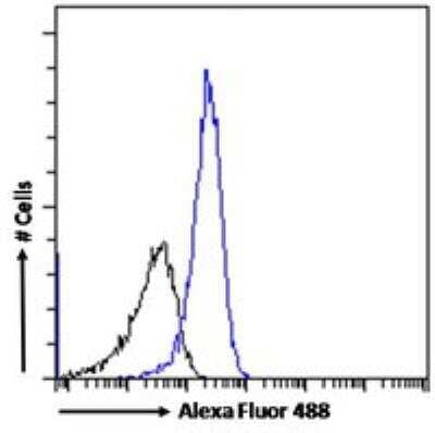 Flow Cytometry: DPPIV/CD26 Antibody [NB100-61658]