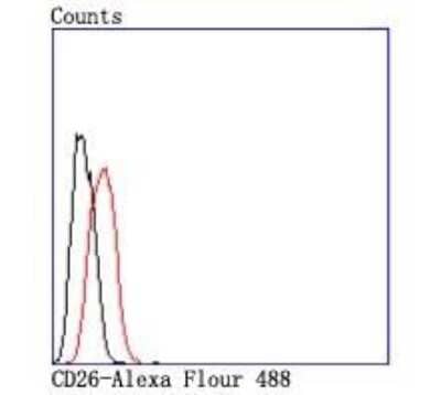 Flow Cytometry: DPPIV/CD26 Antibody (JM11-42) [NBP2-78791]