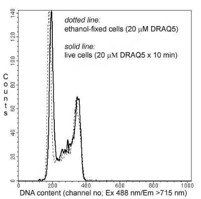 Flow Cytometry: DRAQ5 (TM) - 0.5 mM [NBP2-81129]