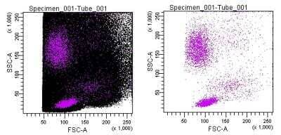 Flow Cytometry: DRAQ5 (TM) [NBP2-81125]