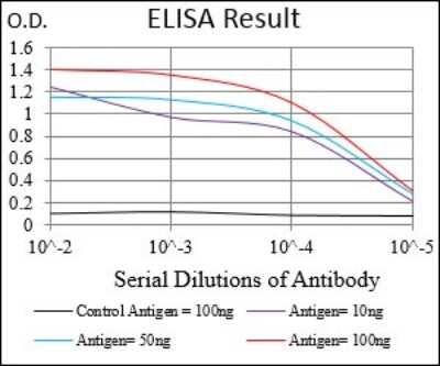 ELISA: DRP1 Antibody (4A4C7) - BSA Free [NBP2-37309]