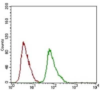Flow Cytometry: DRP1 Antibody (4A4C7) - BSA Free [NBP2-37309]