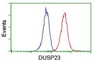 Flow Cytometry: DUSP23 Antibody (OTI3C10) [NBP2-01507]