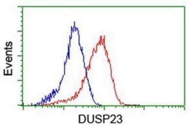 Flow Cytometry: DUSP23 Antibody (OTI3C10) - Azide and BSA Free [NBP2-71976]