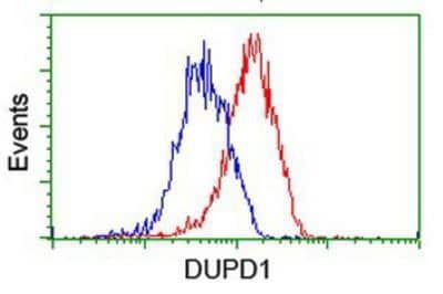 Flow Cytometry: DUSP27/DUPD1 Antibody (OTI7E4) [NBP2-03339]