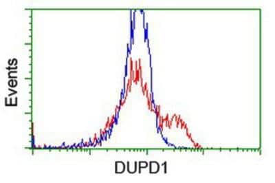 Flow Cytometry: DUSP27/DUPD1 Antibody (OTI7E4) [NBP2-03339]
