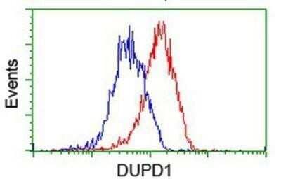 Flow Cytometry: DUSP27/DUPD1 Antibody (OTI7E4) - Azide and BSA Free [NBP2-72503]