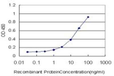 ELISA: DUSP5 Antibody (2F3) [H00001847-M04]