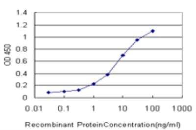 ELISA: DUSP5 Antibody (4C8) [H00001847-M03]