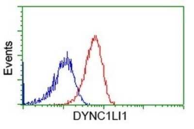 Flow Cytometry: DYNC1LI1 Antibody (OTI2E8) - Azide and BSA Free [NBP2-71904]
