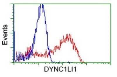 Flow Cytometry: DYNC1LI1 Antibody (OTI2E8) - Azide and BSA Free [NBP2-71904]