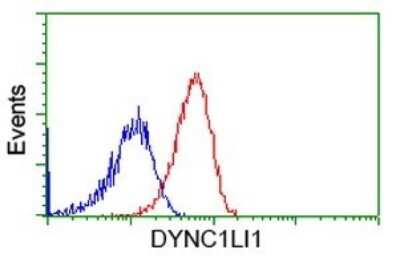 Flow Cytometry: DYNC1LI1 Antibody (OTI2E8) [NBP2-45682]