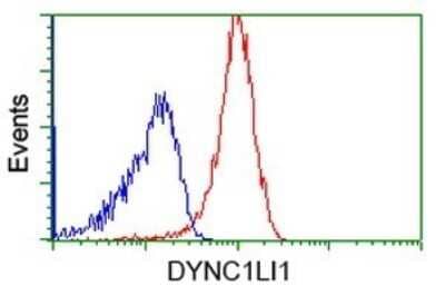 Flow Cytometry: DYNC1LI1 Antibody (OTI2E8) [NBP2-45682]