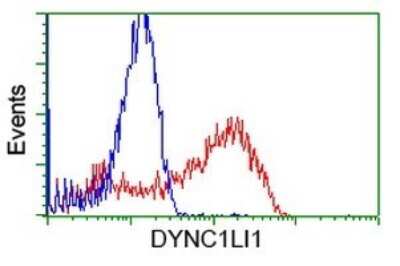 Flow Cytometry: DYNC1LI1 Antibody (OTI2E8) [NBP2-45682]