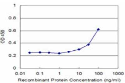 ELISA: DYRK4 Antibody (3B9) [H00008798-M04]