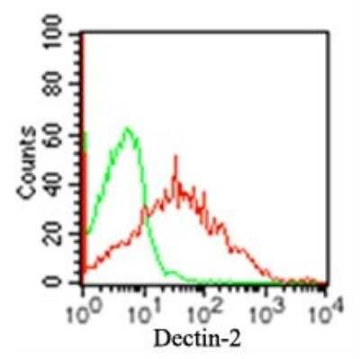 Flow Cytometry: Dectin-2/CLEC6A Antibody (3D1) - Azide and BSA Free [NBP2-36486]