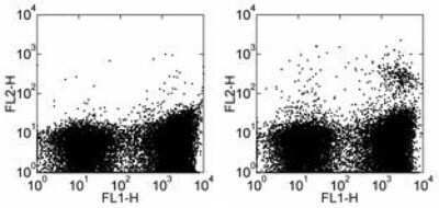 Flow Cytometry: Dendritic Cell Marker Antibody (33D1) - BSA Free [NBP1-43284]