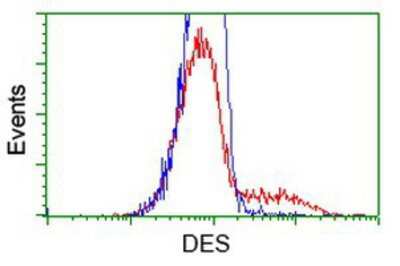 Flow Cytometry: Desmin Antibody (OTI4G1) [NBP2-03539]