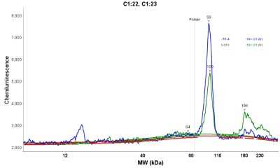 Simple Western: Desmocollin-1 Antibody [NBP1-88099]