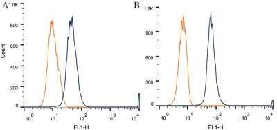Flow Cytometry: Desmoglein-3 Antibody (5G11) - Azide and BSA Free [NBP2-80694]