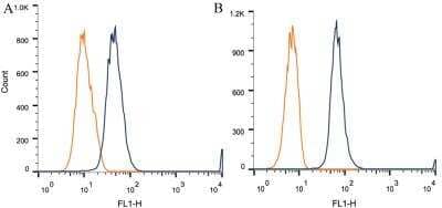 Flow Cytometry: Desmoglein-3 Antibody (5G11) - BSA Free [NB100-1643]