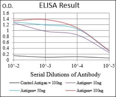 ELISA: Desmoglein-3 Antibody (6G2C11) - BSA Free [NBP2-37259]