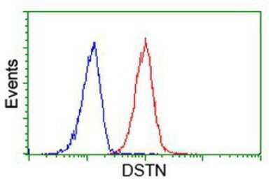 Flow Cytometry: Destrin Antibody (OTI2F7) [NBP2-00527]