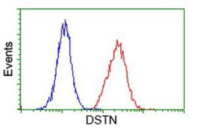 Flow Cytometry: Destrin Antibody (OTI2F7) [NBP2-00527]