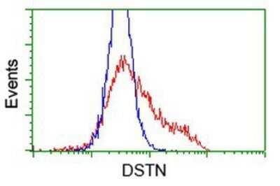 Flow Cytometry: Destrin Antibody (OTI2F7) - Azide and BSA Free [NBP2-71669]