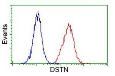 Flow Cytometry: Destrin Antibody (OTI2F7) - Azide and BSA Free [NBP2-71669]