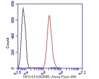 Flow Cytometry: Dfna5 Antibody [NBP2-80426]