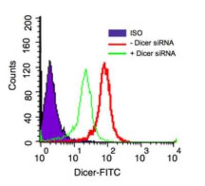 Flow Cytometry: Dicer Antibody [NBP2-23891]