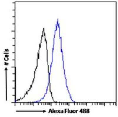 Flow Cytometry: Dimethylarginine Dimethylaminohydrolase 1/DDAH1 Antibody [NB300-916]