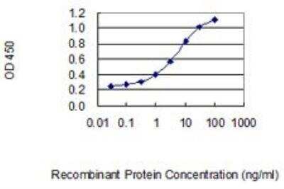 ELISA: Dkk-1 Antibody (2A5) [H00022943-M11]