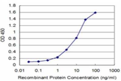 ELISA: Dlx1 Antibody (1B2) [H00001745-M12]