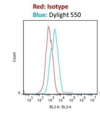 Flow Cytometry: Donkey anti-Rabbit IgG (H+L) Secondary Antibody (Pre-adsorbed) [NBP1-75279]