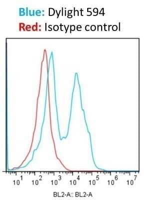 Flow Cytometry: Donkey anti-Rabbit IgG (H+L) Secondary Antibody (Pre-adsorbed) [NBP1-75286]