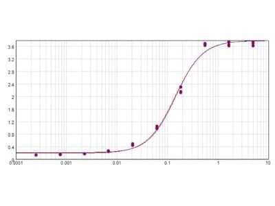 ELISA: Donkey anti-Sheep IgG (H+L) Secondary Antibody (Pre-adsorbed) [NBP1-72745]