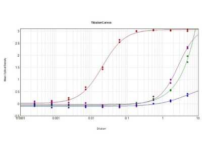 ELISA: Donkey anti-Sheep IgG (H+L) Secondary Antibody (Pre-adsorbed) [NBP1-72745]