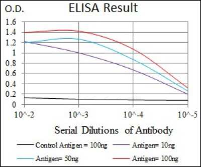 ELISA: Doublecortin Antibody (2G5) - BSA Free [NBP2-37476]