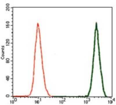 Flow Cytometry: Doublecortin Antibody (2G5) - BSA Free [NBP2-37476]