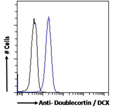 Flow Cytometry: Doublecortin Antibody [NBP2-69992]