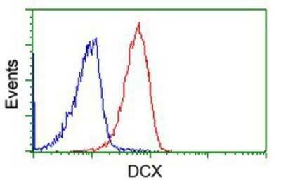 Flow Cytometry: Doublecortin Antibody (OTI4A3) - Azide and BSA Free [NBP2-70558]