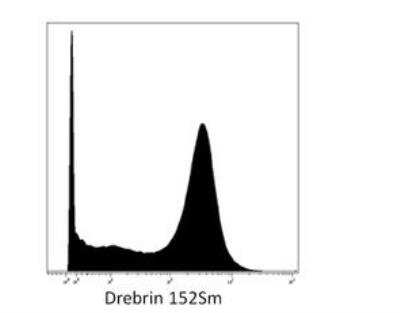 Flow Cytometry: Drebrin 1 Antibody (DBN-N-03) [NBP2-22344]