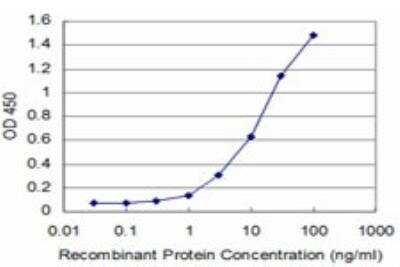 ELISA: Dub3 Antibody (3G12) [H00377630-M01]