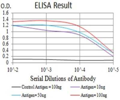 ELISA: Dynamin 2 Antibody (3F5C7) - BSA Free [NBP2-61758]
