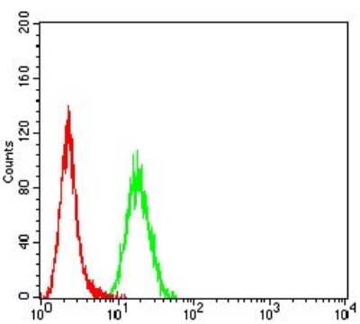 Flow Cytometry: Dynamin 2 Antibody (3F5F3) - BSA Free [NBP2-61757]